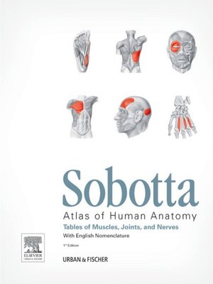 cover image of Sobotta Tables of Muscles, Joints and Nerves, English
